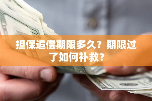 武汉担保追偿期限多久？期限过了如何补救？