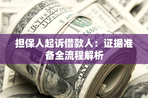武汉担保人起诉借款人：证据准备全流程解析