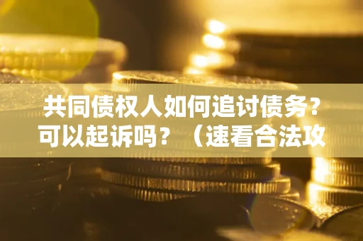 武汉共同债权人如何追讨债务？可以起诉吗？（速看合法攻略）