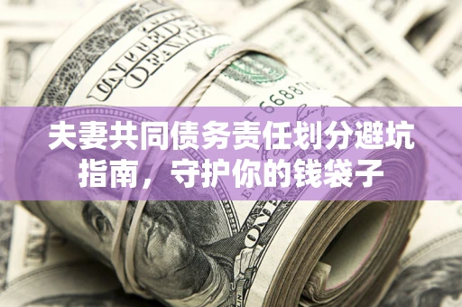 武汉夫妻共同债务责任划分避坑指南，守护你的钱袋子