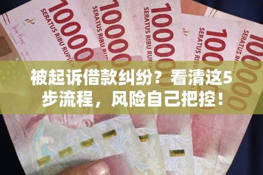 武汉被起诉借款纠纷？看清这5步流程，风险自己把控！