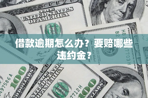 武汉借款逾期怎么办？要赔哪些违约金？
